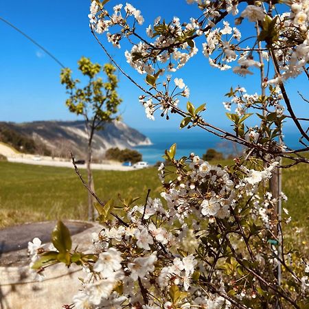 Agriturismo Conero Ancona Dış mekan fotoğraf