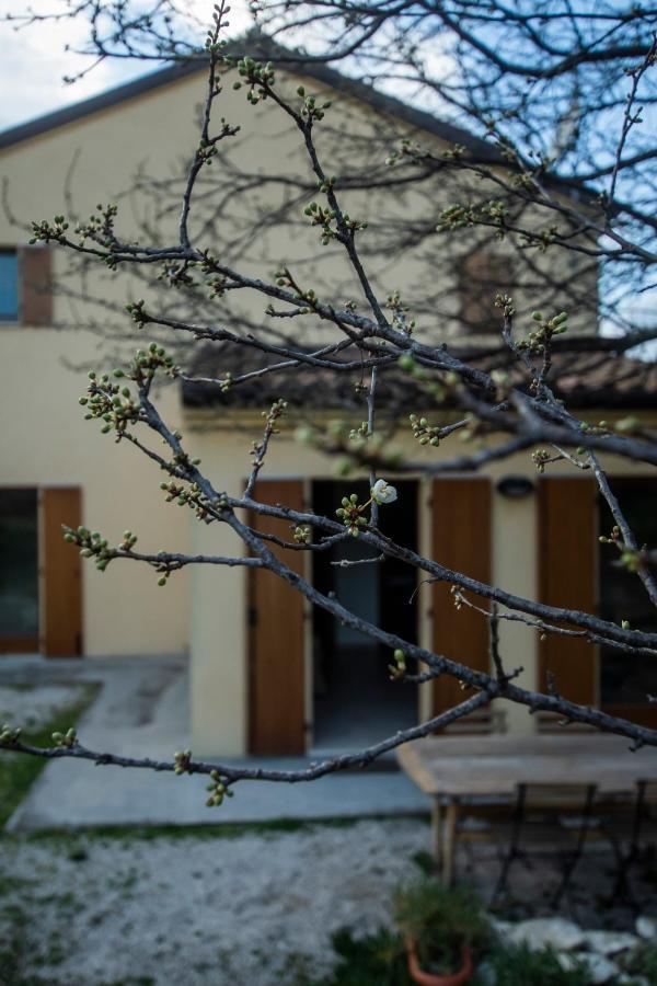 Agriturismo Conero Ancona Dış mekan fotoğraf