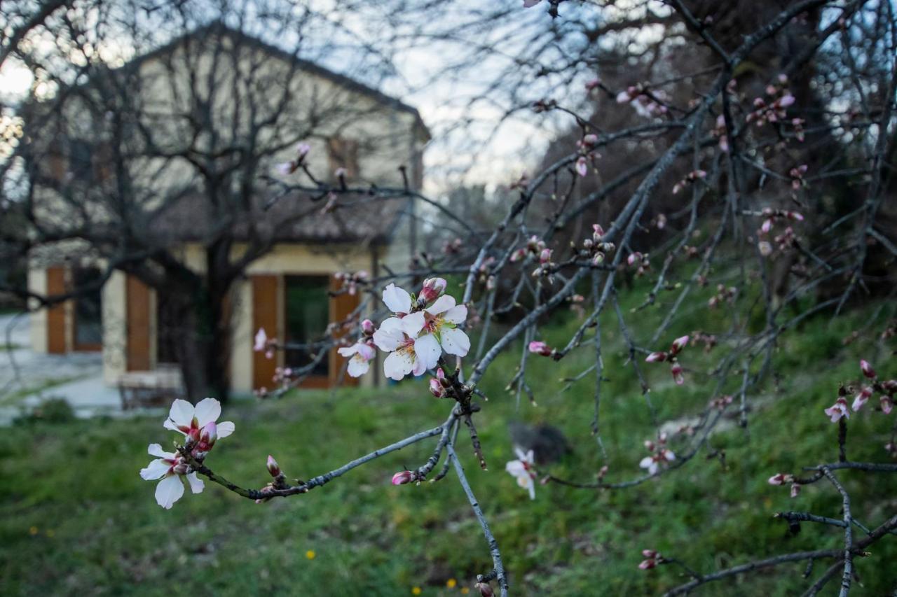 Agriturismo Conero Ancona Dış mekan fotoğraf