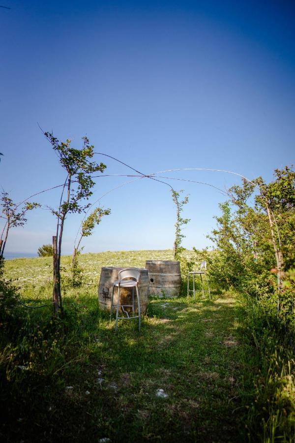 Agriturismo Conero Ancona Dış mekan fotoğraf